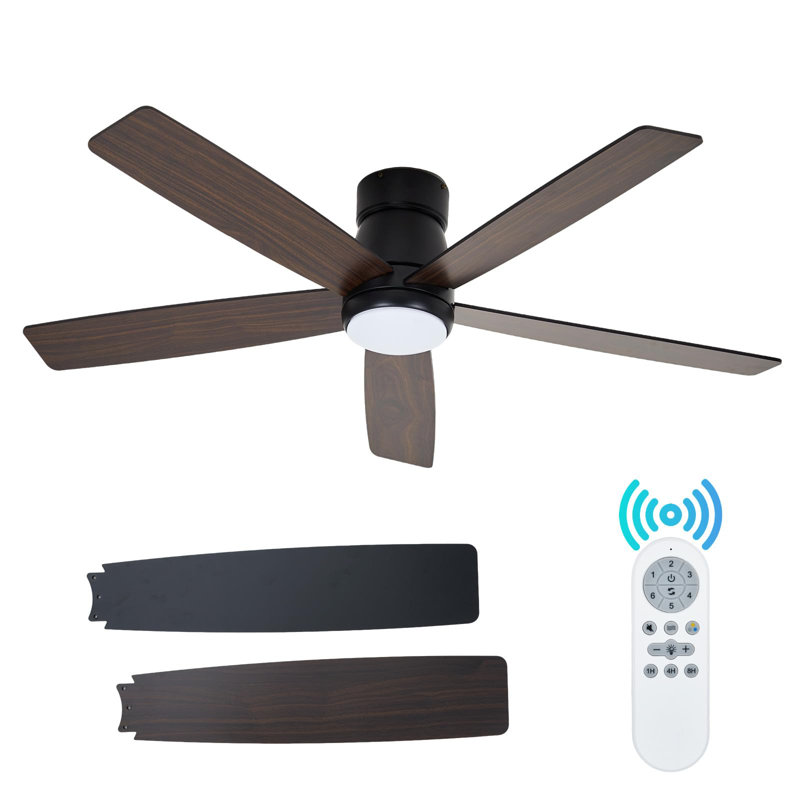 Ceiling Fan, Black, Brown