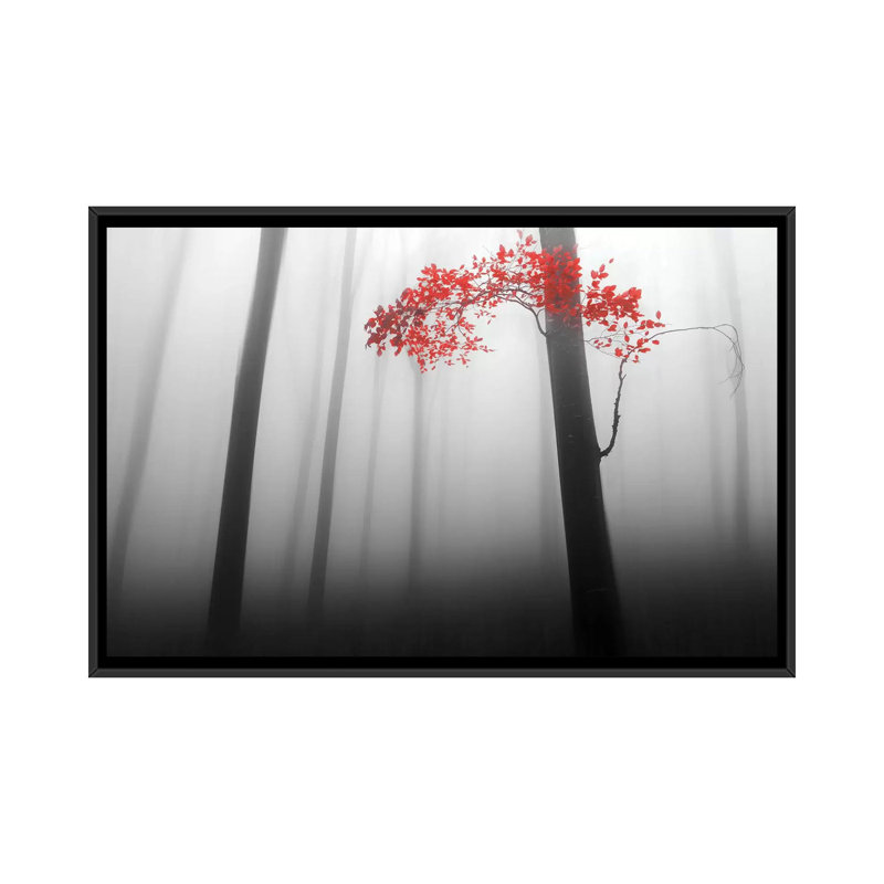 «Illusion», impression sur toile, H 18 po x l 26 po x P 1,5 po, Toile avec cadre noir, Pas de tapis