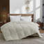 Wayfair Sleep Lightweight Down Alternative Comforter-459250354-403424110
