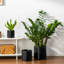 ZTHPOT Ceramic Pot Planter-260701788