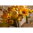 10.5 " Sunflower Arrangement