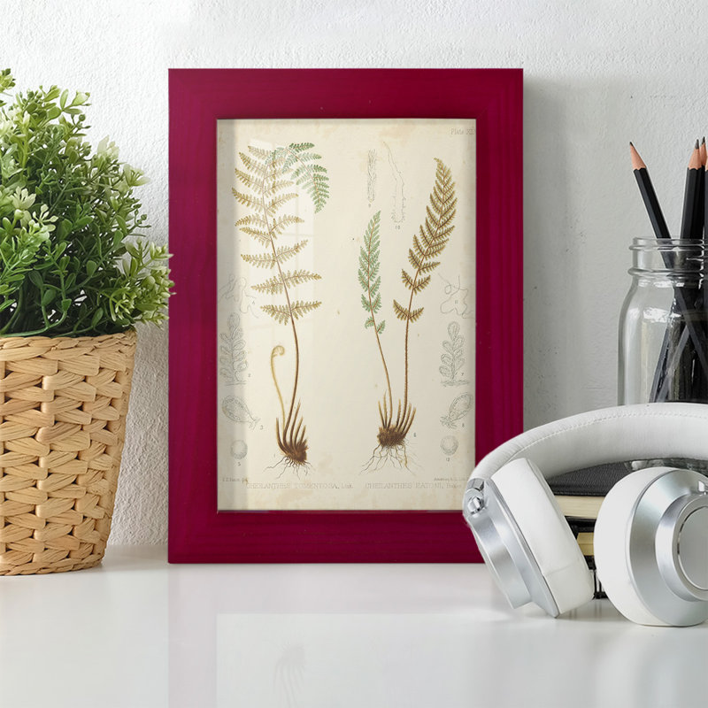 Fern Study I, reproduction d'art encadrée, Rouge, H 6 po x l 4 po x P 1 po