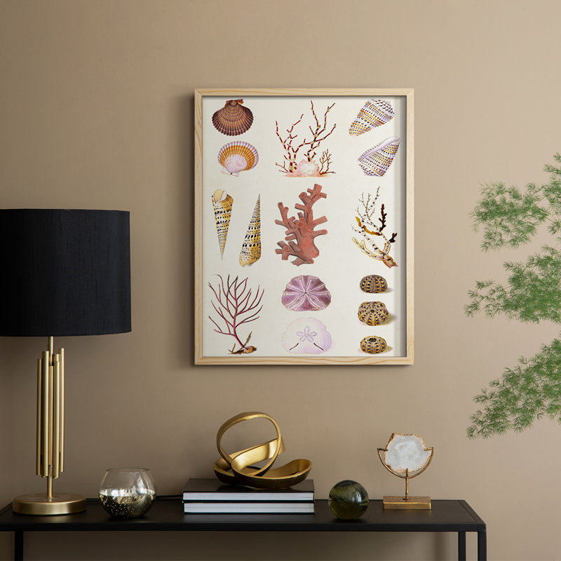 Coral & Shell Collage II, reproduction encadrée - bois massif, Naturel, H 11 po x l 9 po