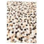 Tapis Jack Jack