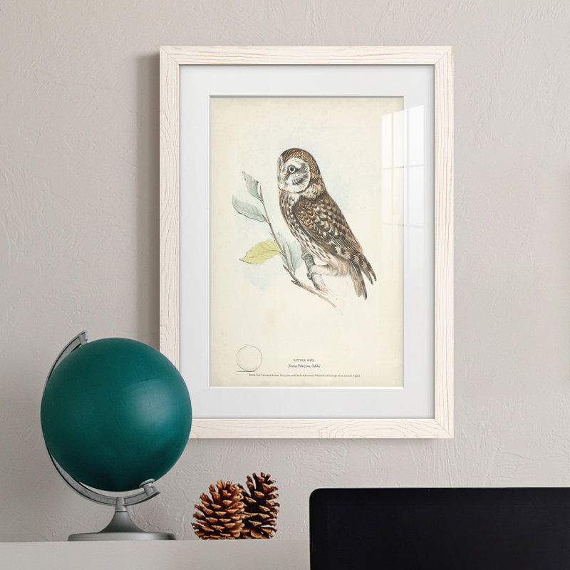 Little Owl Premium encadré mat - prêt à accrocher, H 32 po x l 23 po x P 1 po, Cadre blanc