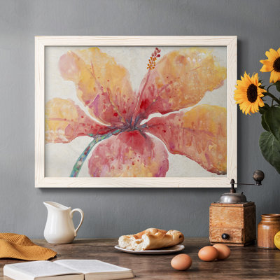 " Blooming Hibiscus "