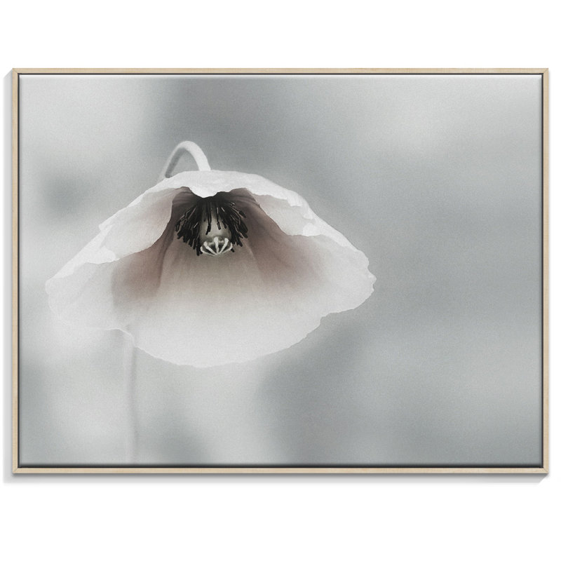Print on Canvas, 41cm H x 51cm W, Timber Floater Frame