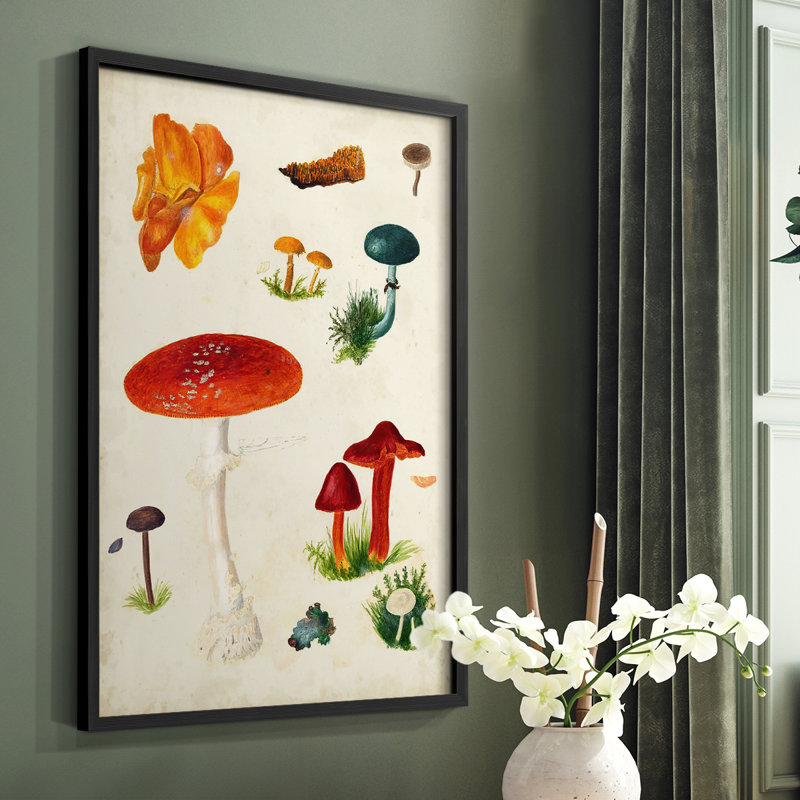Reproduction encadrée champignon Mushroom Species, H 20 po x l 16 po, Noir