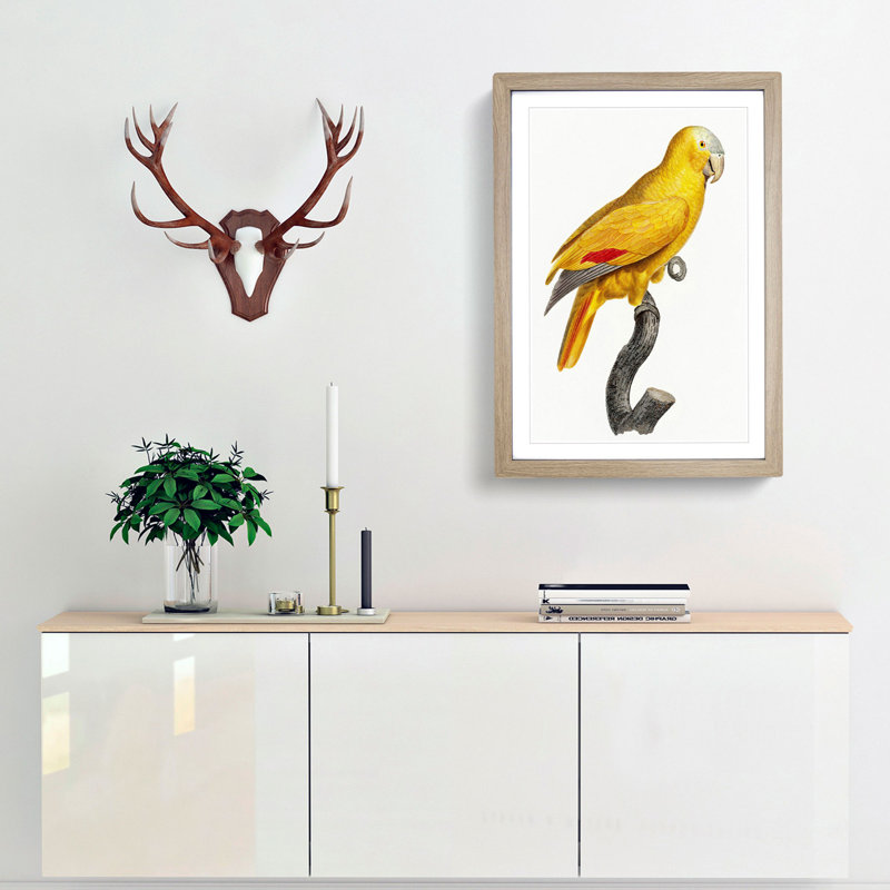 Golden Parrot by F. Levaillant - Picture Frame Art Print, 65cm H x 48cm W x 2cm D, Oak Framed