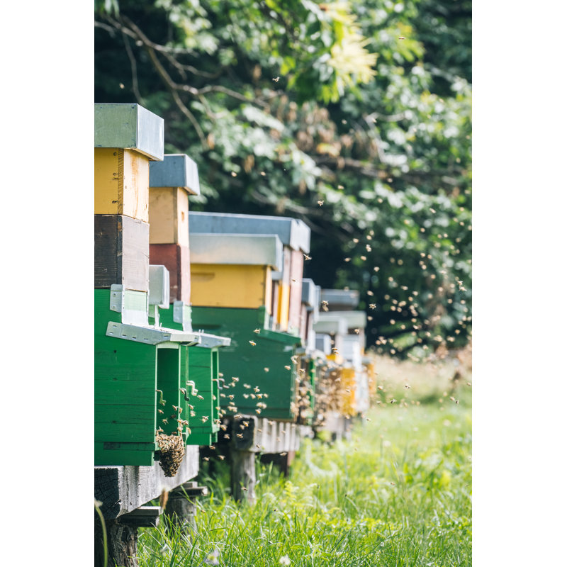 Honey Beehive Colony In A Lush Meadow by AscentXmedia - Print, 122cm H x 81cm W