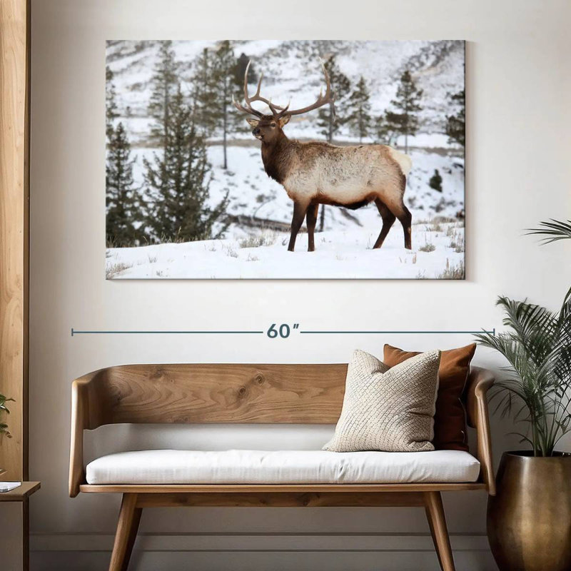 Winter Bull Elk, 34" H x 51" W