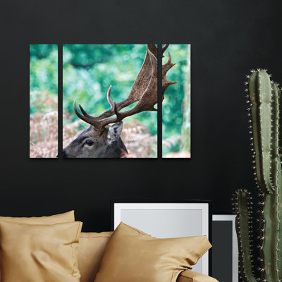 Ensemble de 3 panneaux d'art mural - Debmercury «Fallow Stag Deer». Toile murale pour décoration de salon, de chambre à coucher ou de bureau 