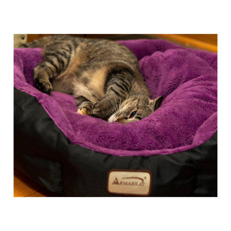 Lit rond pour chat