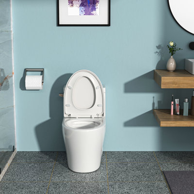 Toilette en céramique blanche à une pièce - avec jupe, chasse d'eau Tornado, siège silencieux, pièce moderne d'espace, système de chasse d'eau, surface élevée