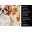 Serviette de cuisine rouge et blanche-2083472827