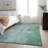 Cerrito Premium Machine Washable Cerrito AMF511 Teal Rug-103831228