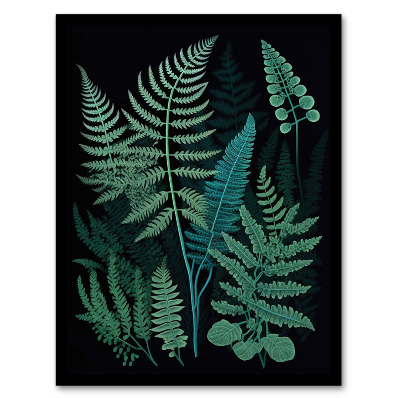 Elegant Fern Fronds Botanical Nature Teal Blue Green Black - Single Picture Frame Print