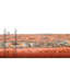 Tapis oriental brun / orange Hylan-69120537