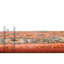Tapis oriental brun / orange Hylan-69120538