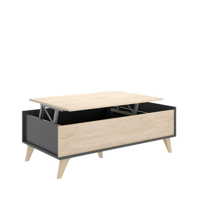 Winnie Lift Top Coffee Table with Storage