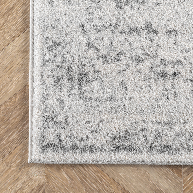 Eustacio Oriental Gray Area Rug, Runner 2'8" x 8'