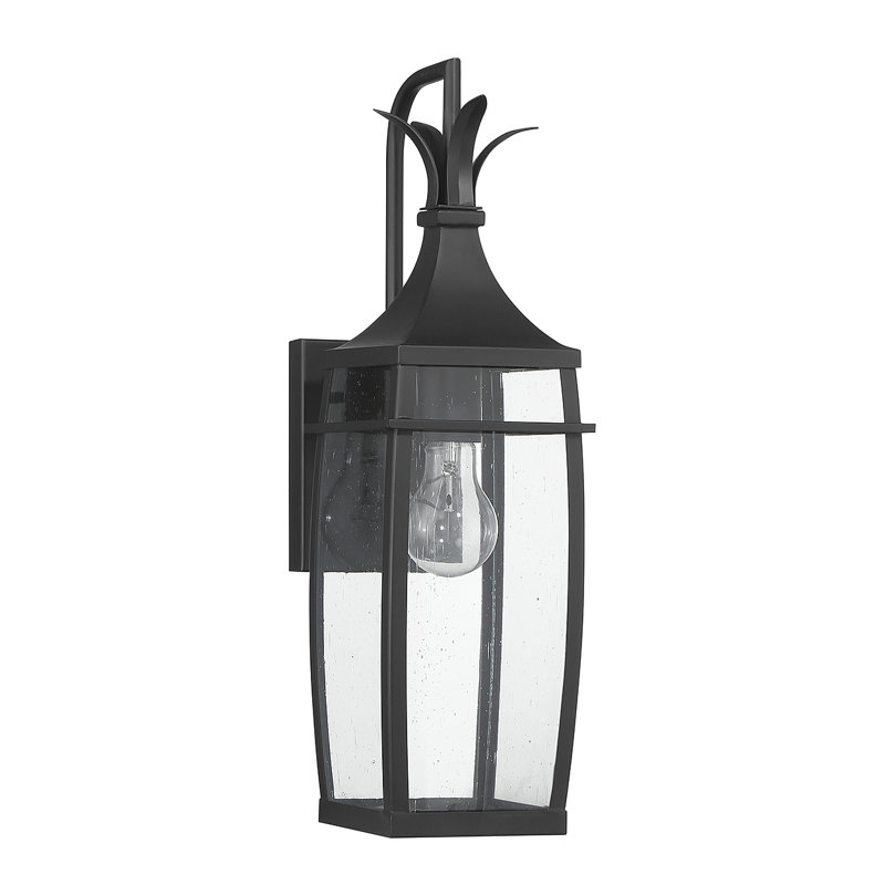 Montpelier 1-Light Emie in Matte Black