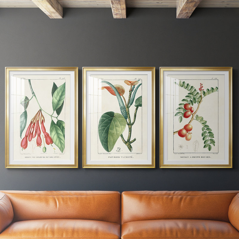 Turpin Tropical Botanicals I - Impression personnalisée de qualité supérieure avec passe-partout - 3 pièces, Doré