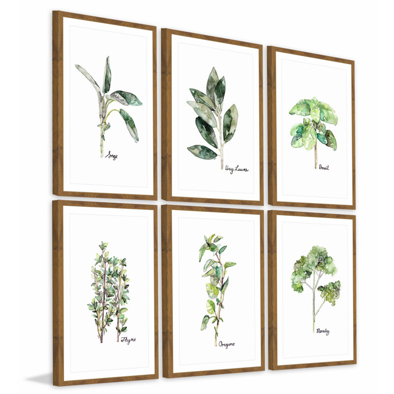 «Herb Family Hexaptych» par Rachel Byler - Ensemble de 6 reproductions encadrées sur papier, H 18 po x l 12 po
