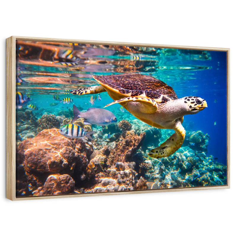 Vie marine vive, Cadre flottant en bois naturel, 13 po x 9 po
