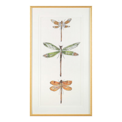 Joy Colangelo Joyful Dragonflies II Framed Print Canvas