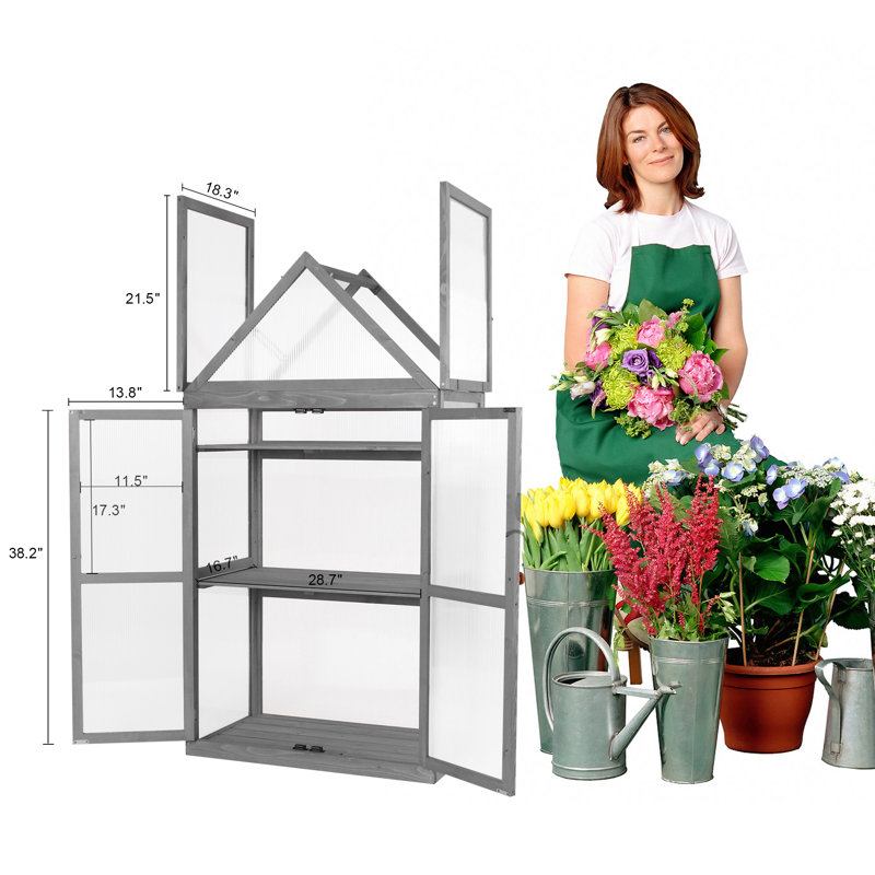 Gray Fir Wood Garden Greenhouse with Adjustable Shelf