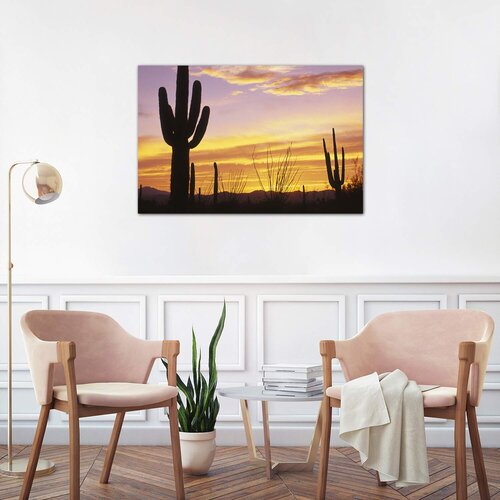 Bless international Sunset Saguaro Cactus Saguaro National Park AZ ...