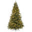 Carolina Fraser Lighted Artificial Fir Christmas Tree-750718133