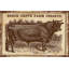 Cows Jerseys 2 - Wrapped Canvas Print-1876532982