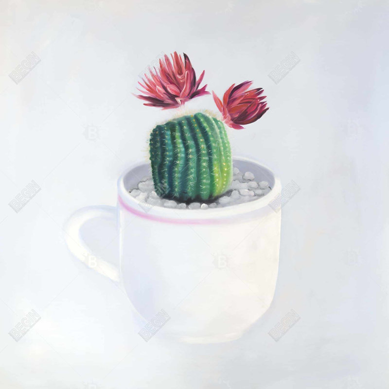 Mini cactus in a cup | Botanical Pink framed canvas decor
