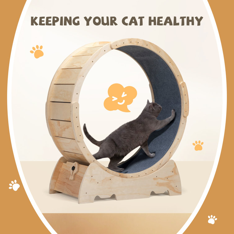 Tucker Murphy Pet™ Dailan Cat Exercise Running Wheel Treadmill