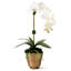 Axel Realtouch Orchid Arrangement-2050351629
