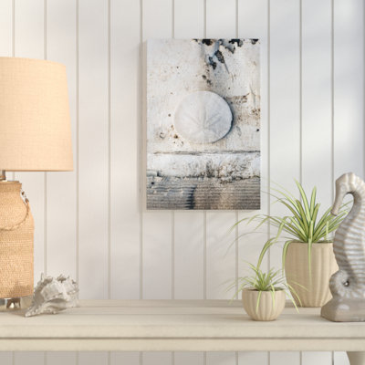 " Seashells III " by Elena Ray