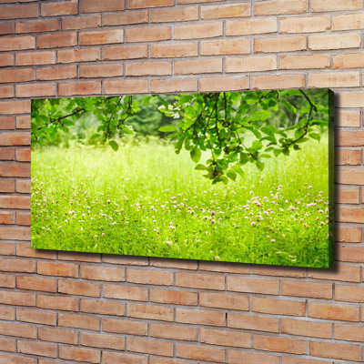 Green Meadow - Wrapped Canvas Print