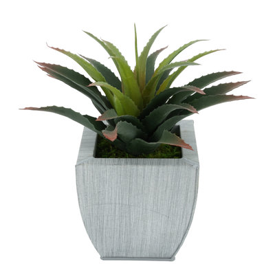 Plante grasse artificielle de 7 po en pot
