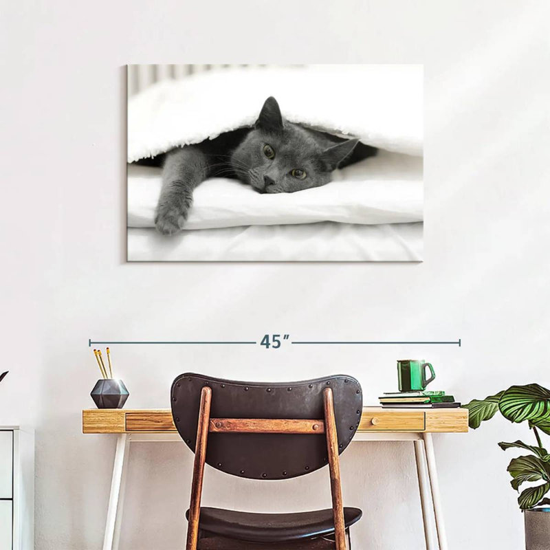 Brampt Lazy Cat, 24" H x 36" W