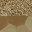 Elusive Golden Nickel