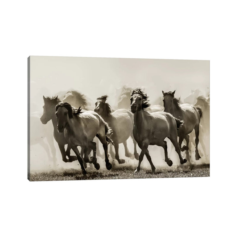 Cheval - reproduction d'art, H 26 po x l 40 po x 1,5 po, Toile tendue