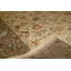 Chantel Oriental Area Rug