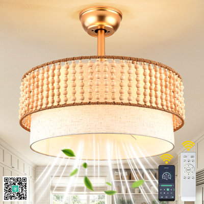 20 Inch Boho Caged Ceiling Fan with Light and Remote, 6-Speed Reversible Gold Drum Fandelier Ceiling Fan for Bedroom