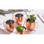 Ensemble de bar à cocktail en acier inoxydable Moscow Mule Mugs 14 oz pour cocktails et boissons froides-1673679287