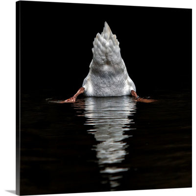Reproduction de photo sur toile, "i like the photographes" par piet farine