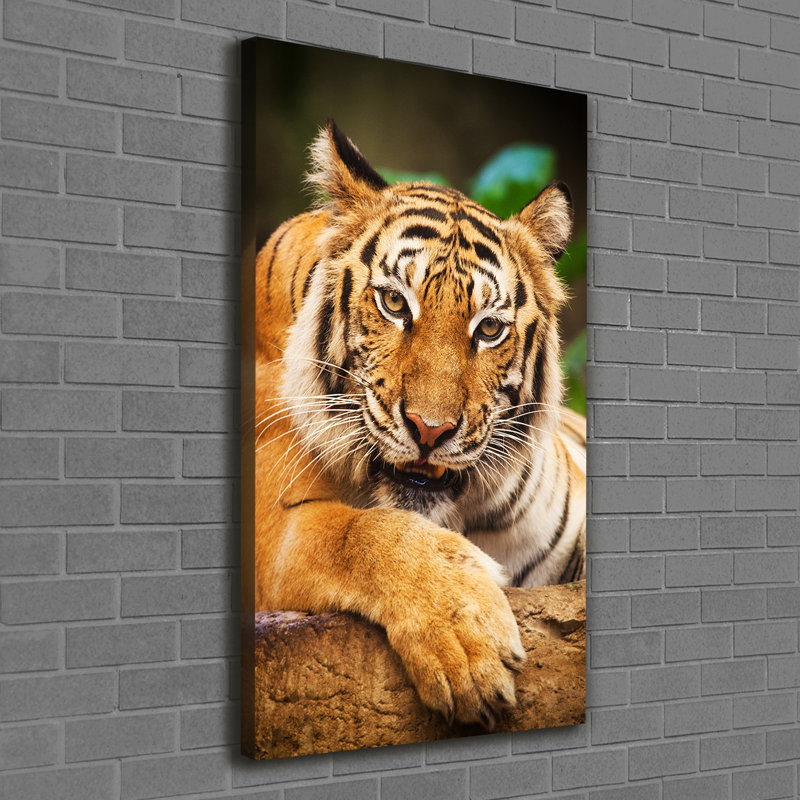 Bengal Tiger - Wrapped Canvas Print