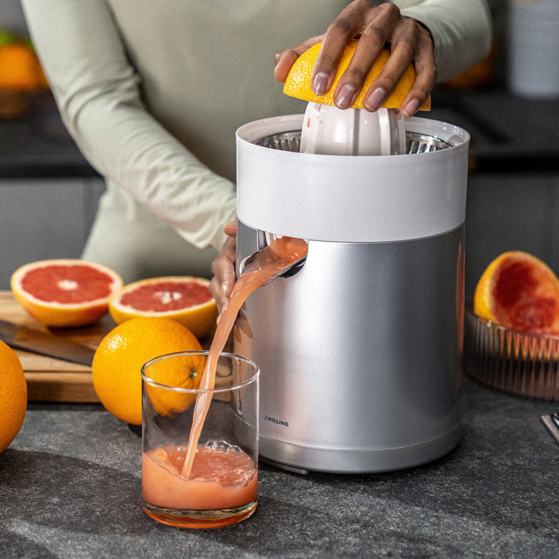 Enfinigy Citrus Juicer, Silver