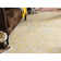 Aquene Performance Oriental Rug